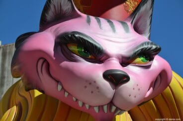 Plantà fallas Denia 2019 – Falla París Pedrera