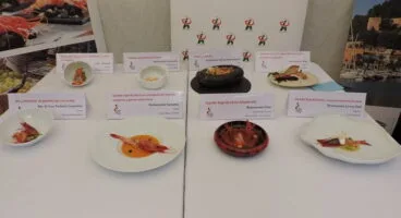 Recetas presentadas al concurso