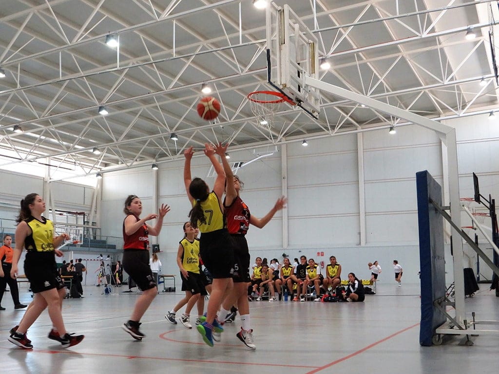infantil femenino 06 vence al genoves