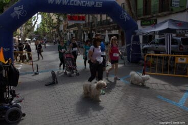 6 Marcha Solidaria Deniacom a favor del CEE Raquel Payá