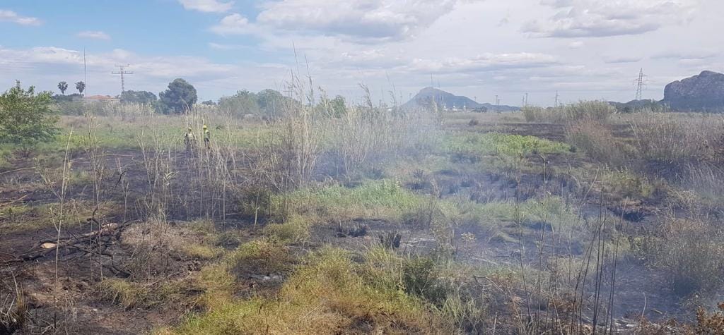 incendio en la marjal pego oliva