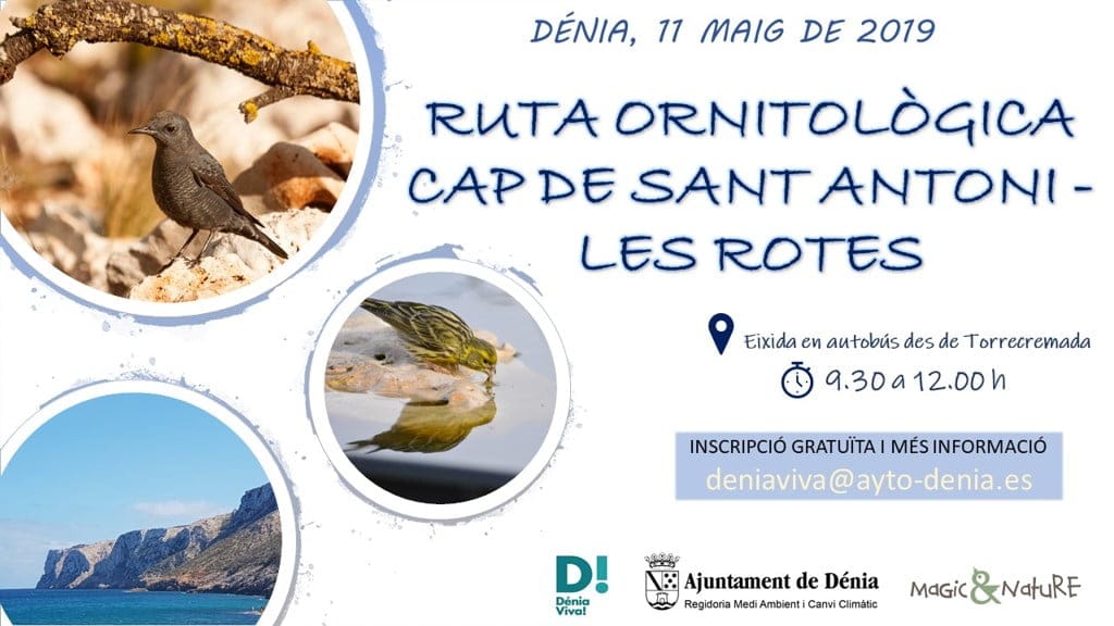 ruta ornitologica denia