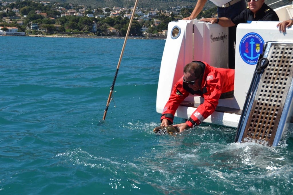 suelta de tortuga en el salon nautico de denia