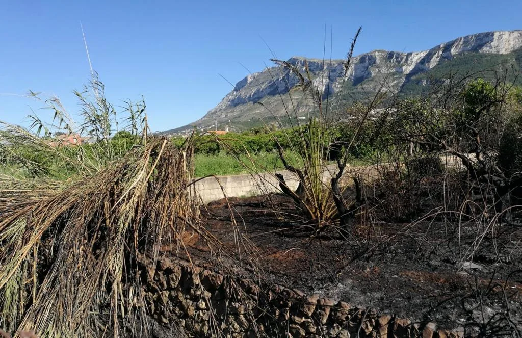 zona quemada en denia