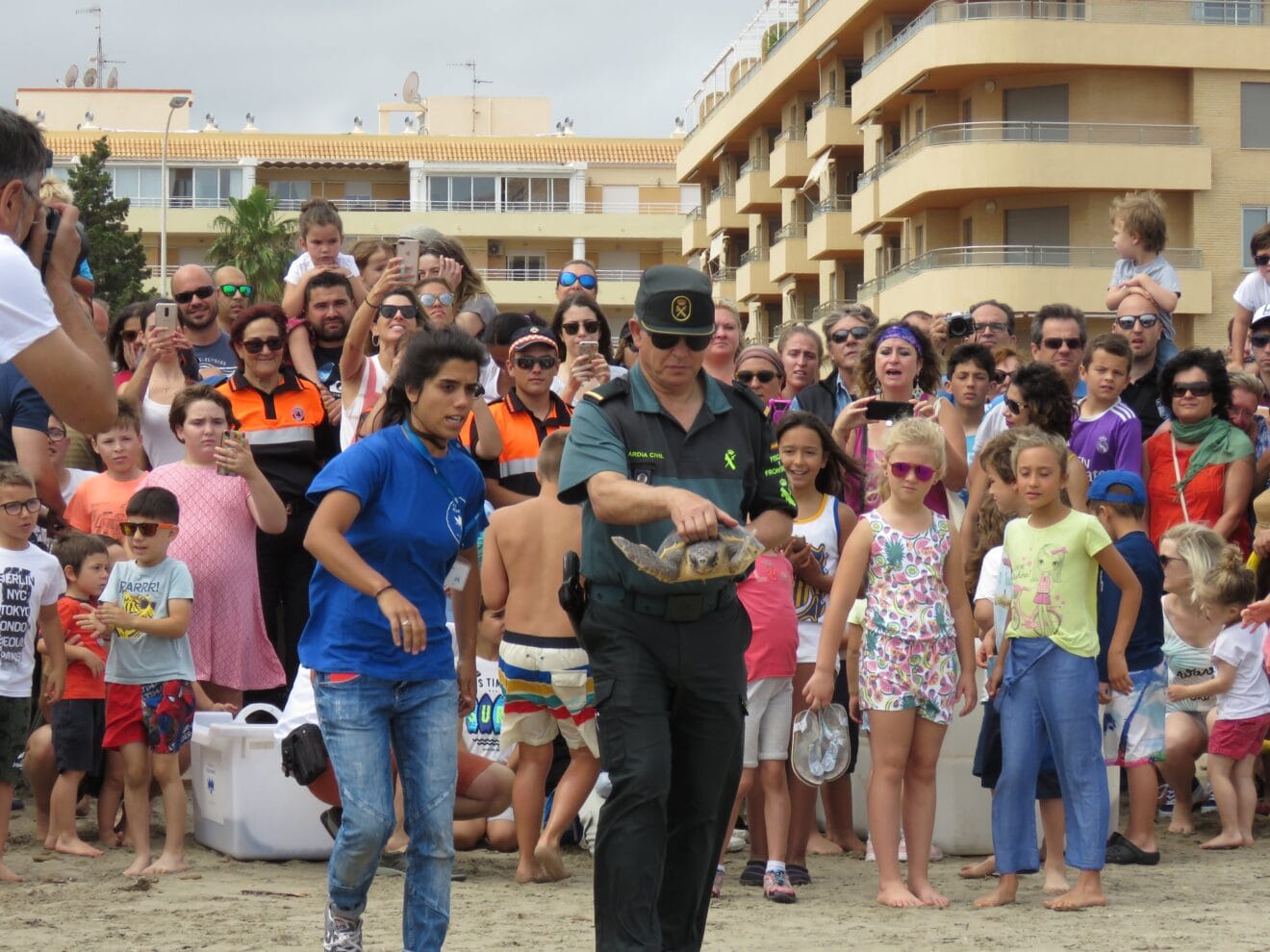 Dénia se convierte en el punto de reencuentro entre 3 tortugas bobas y su hogar