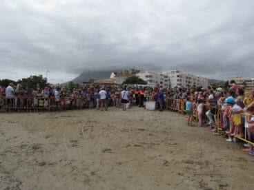 El ayuntamiento de Dénia organiza una suelta de tortugas por el Día de los Océanos