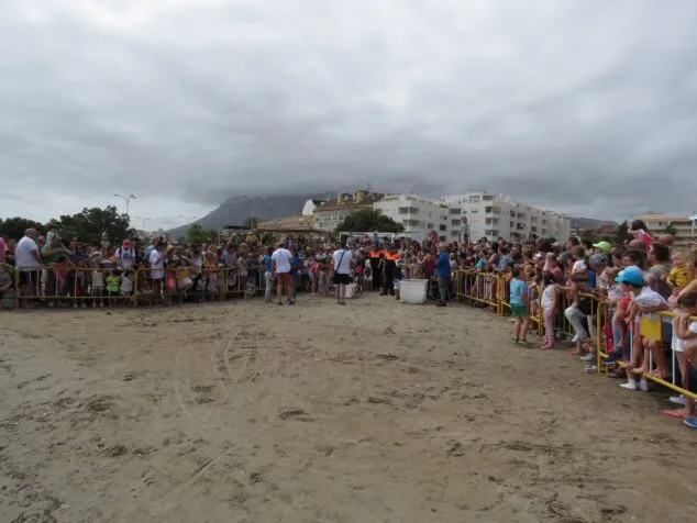 el ayuntamiento de denia organiza una suelta de tortugas por el dia de los oceanos