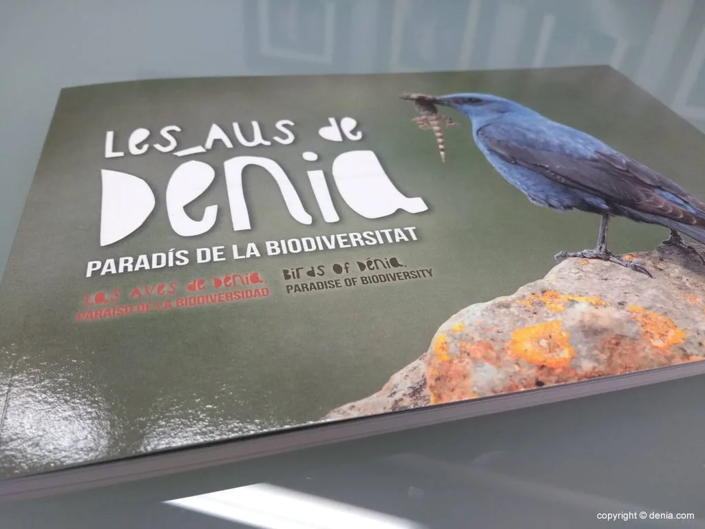 Guia de aves en Dénia
