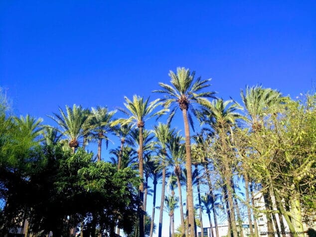 medio ambiente denia