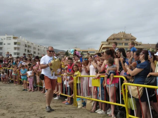 medio millar de personas presencian la suelta de tortugas organizada por el ayuntamiento