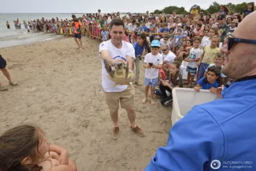 Suelta de tortugas ante la presencia de medio millar de asistentes