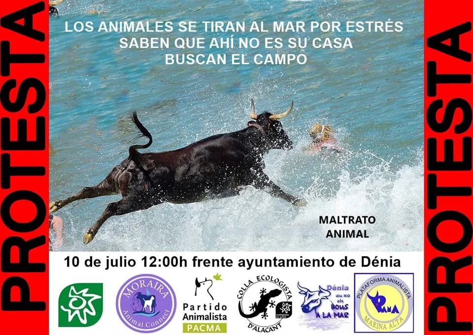las manifestaciones en contra de los bous a la mar regresan a denia