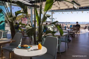 Restaurante moderno en Jávea – Restaurante Ammos
