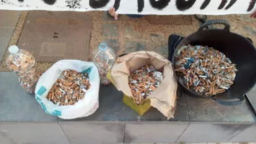 recogida de colillas en el centro de denia