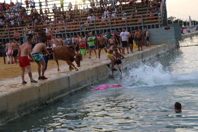 un herido en la tarde de bous a la mar