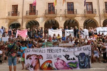 Celebración de APAD por el giro en la licitación 01