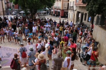 Celebración de APAD por el giro en la licitación 10