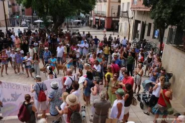 Celebración de APAD por el giro en la licitación 10