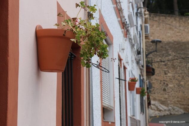el barrio les roques se llena de flora 05