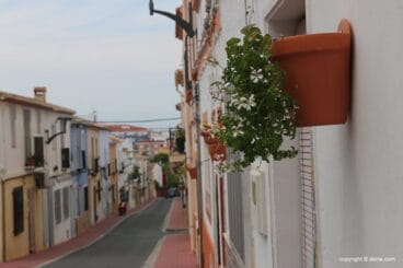 El barrio Les Roques se llena de flora 06