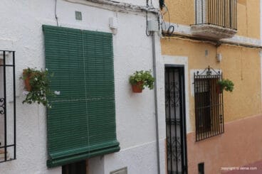 El barrio Les Roques se llena de flora 13