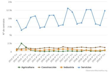 evolucion trimestral segun sector de actividad