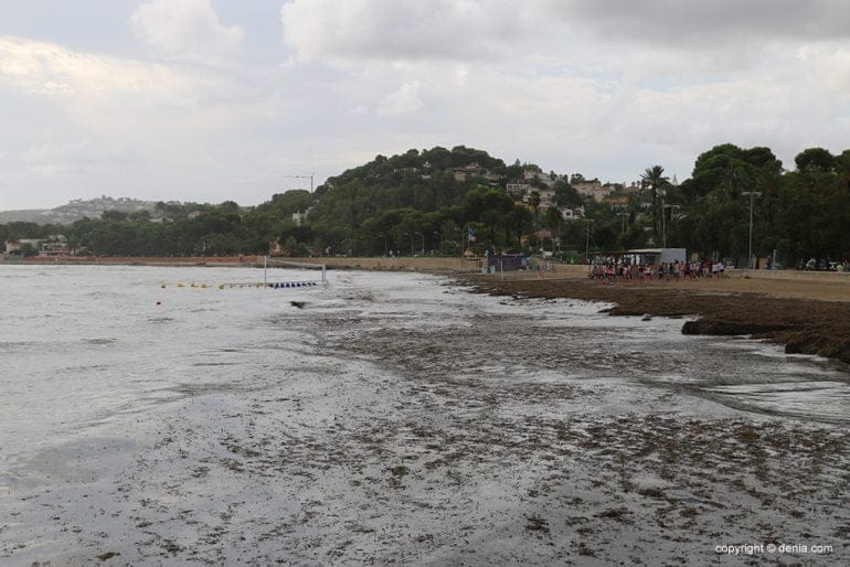 Las consecuencias de la lluvia y el temporal en Dénia - La Marineta Casiana