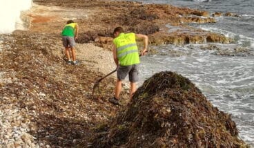 limpieza en la playa de les rotes e1565066966750