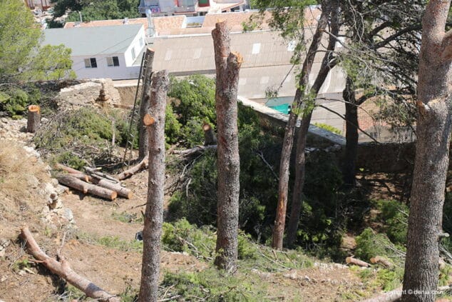 rehabilitacion verger alt y baluarte del castillo 7