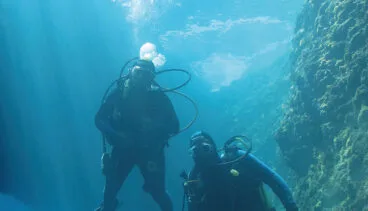 buceadores del real club nautico denia