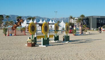 Prueba de una competición ecuestre en el Centro Oliva Nova