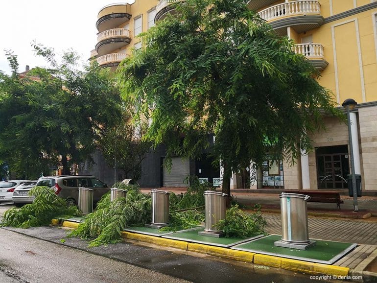 Incidentes en Dénia a causa del fuerte viento