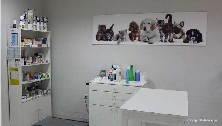 Interior de la Clínica Veterinaria El Saladar