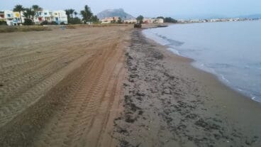 limpieza de algas en las playas de denia