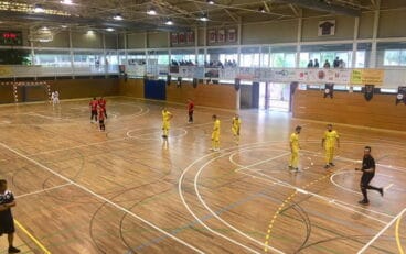 pista palleja