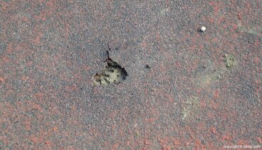 agujero en la pista de atletismo de denia