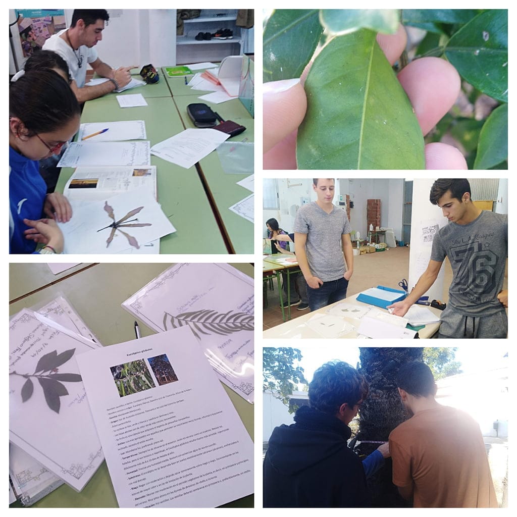 Imagen: Inventario de especies por el alumnado de Creama