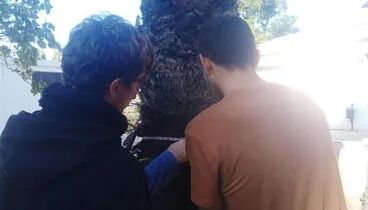 portada inventario de especies por el alumnado de creama