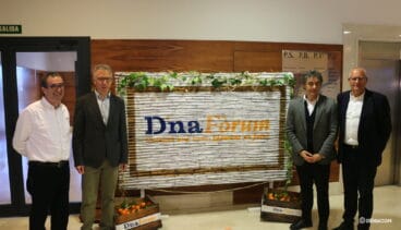 romany llanes colomer y grimalt