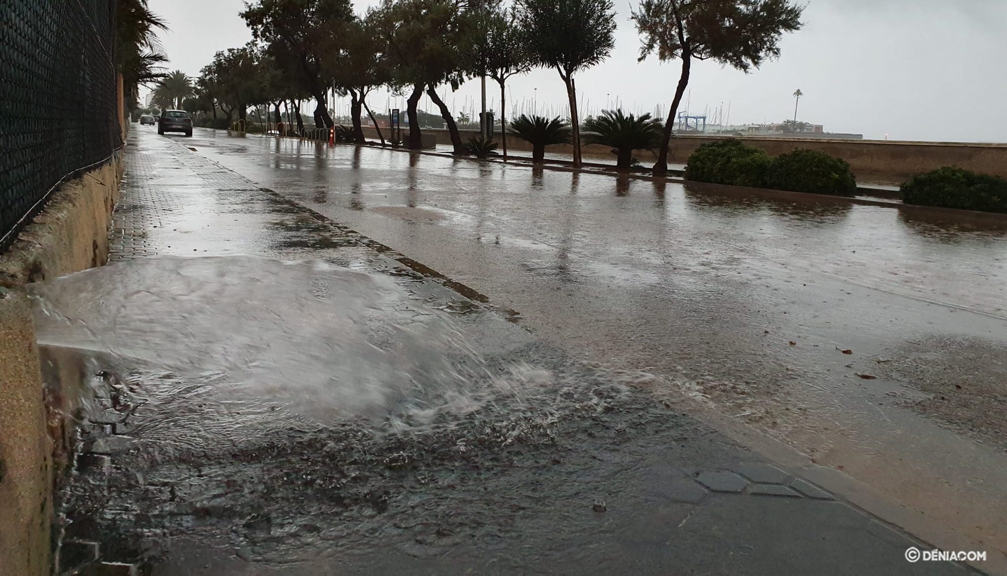 Imagen: Dénia se recupera tras las primeras precipitaciones