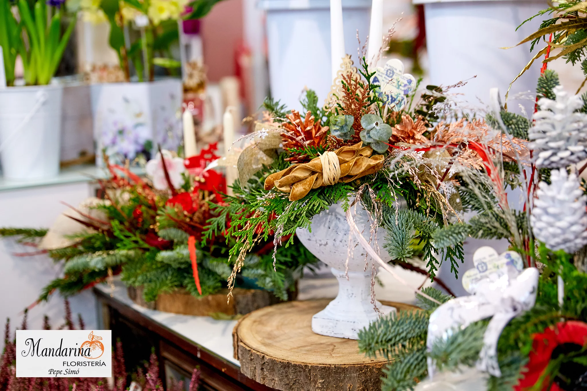 Floristería Mandarina – Decoración y plantas típicas de Navidad