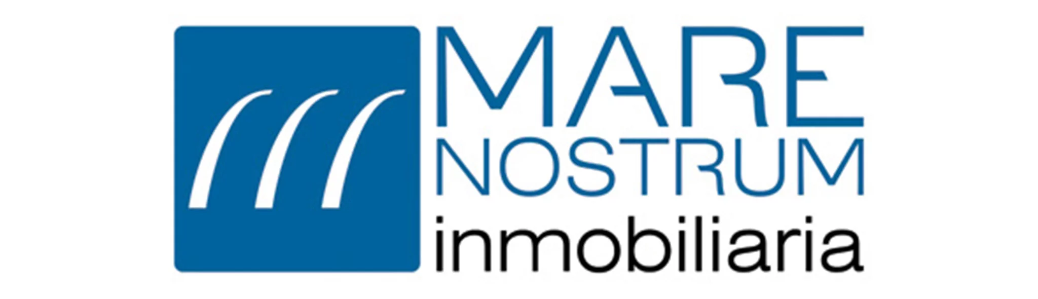 Logotipo Mare Nostrum Inmobiliaria