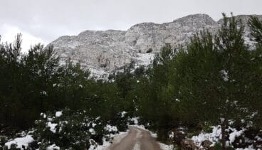 Camino nevado hacia el Montgó