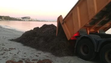 El Ayuntamiento tiende la mano a la posidonia para frenar el deterioro
