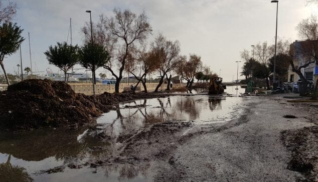 El Ayuntamiento inicia los trabajos de limpieza en la costa 4 limpieza junto al parking de marina de denia