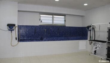 Limpieza de mascotas profesional en Dénia – Santi Mas – Servicios para mascotas