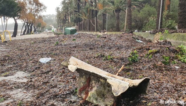 paseo marineta carretera paralela algas y basura consecuencias temporal denia enero