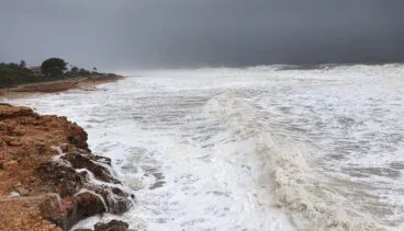 portada temporal en les rotes