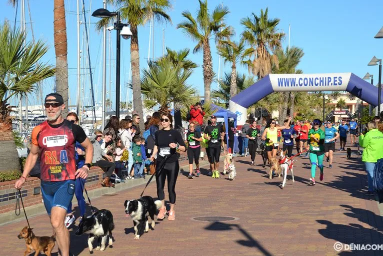Primeros metros de la carrera para mascotas