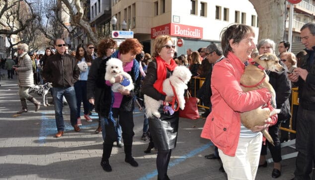 sant antoni de 2015 en denia